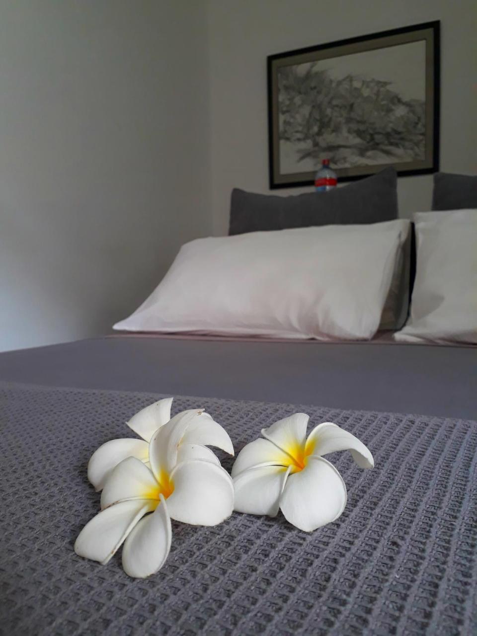 "27" Spathodea- Oasis In The City โคลอมโบ ภายนอก รูปภาพ
