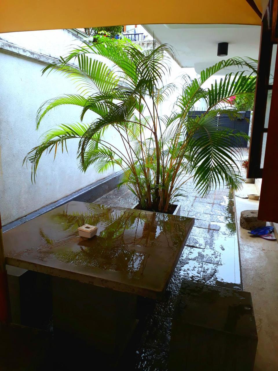 "27" Spathodea- Oasis In The City โคลอมโบ ภายนอก รูปภาพ